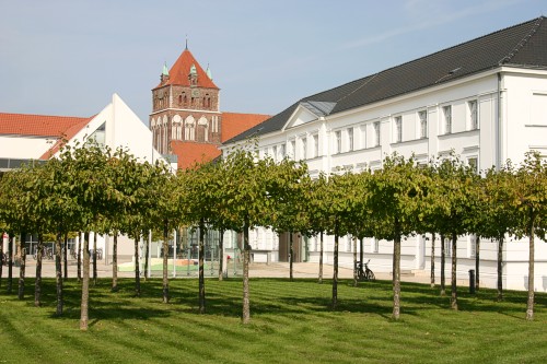 Marienkirche Greifswald & Landesmuseum